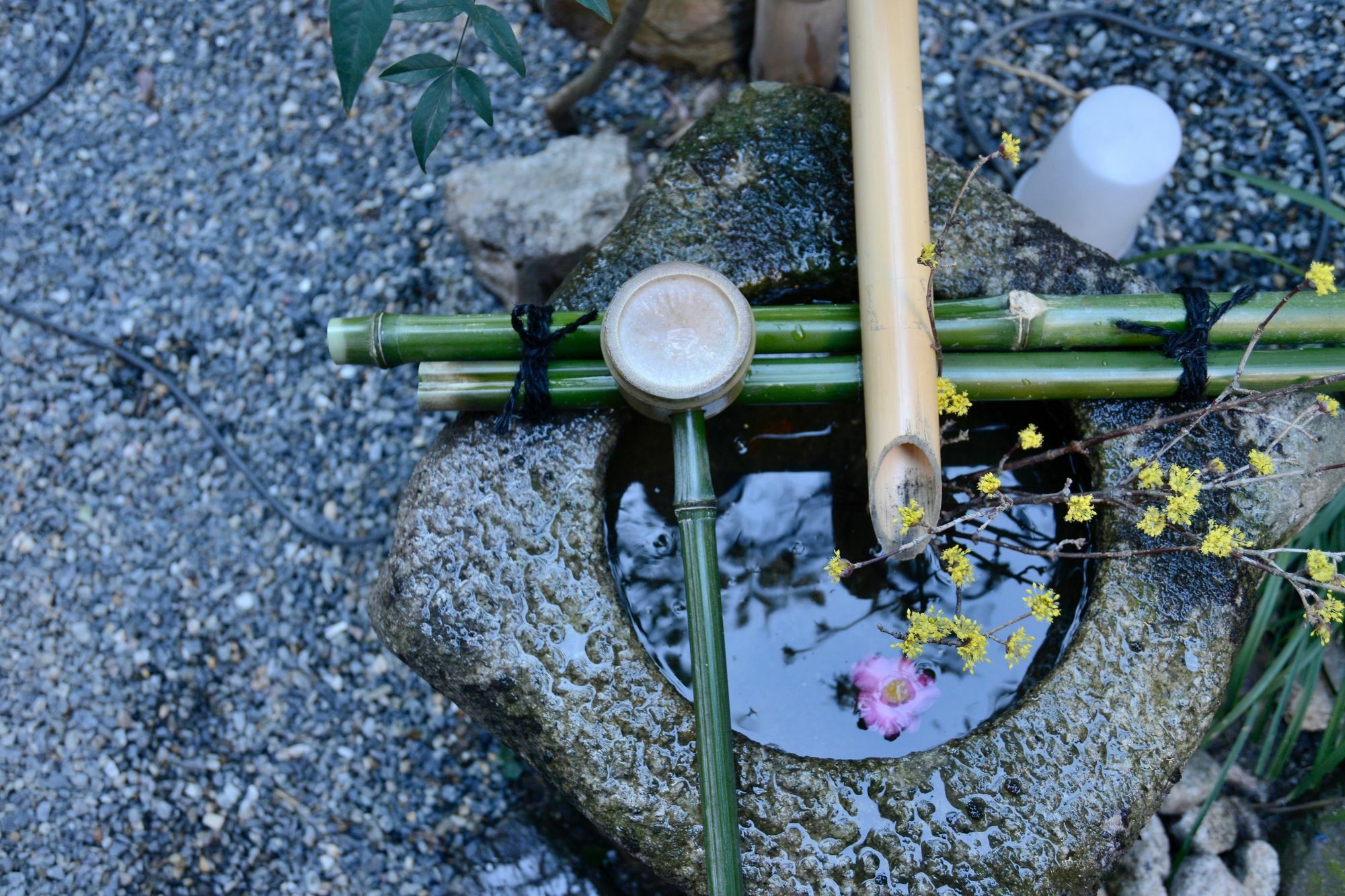 Mitsuki Kyoto Hotel Luaran gambar