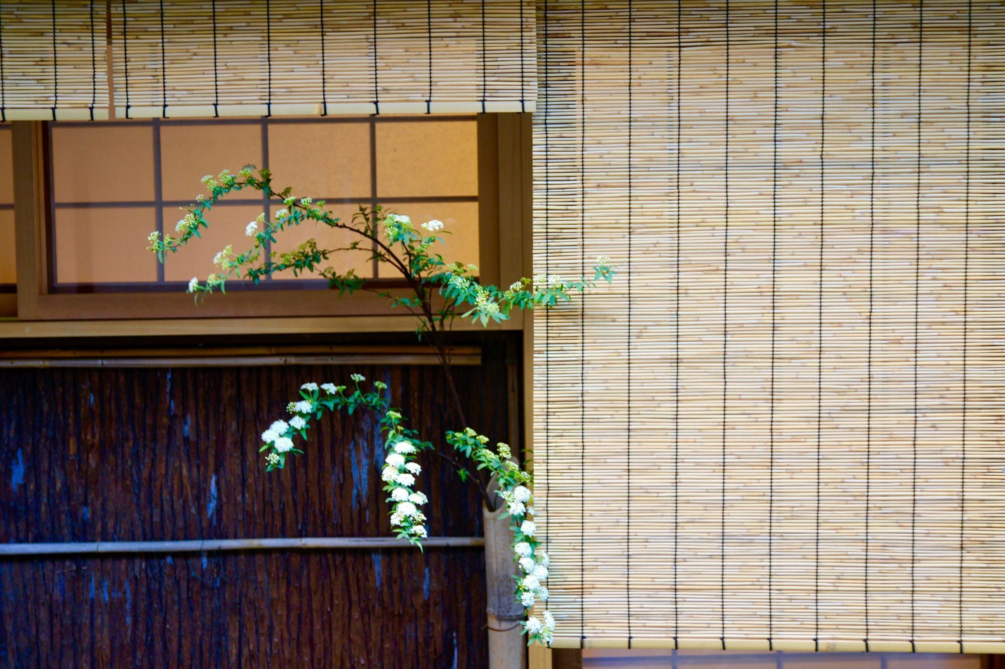 Mitsuki Kyoto Hotel Luaran gambar